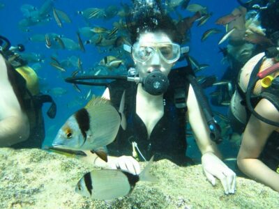 Scuba Diving Experience with Lunch & Pick up
