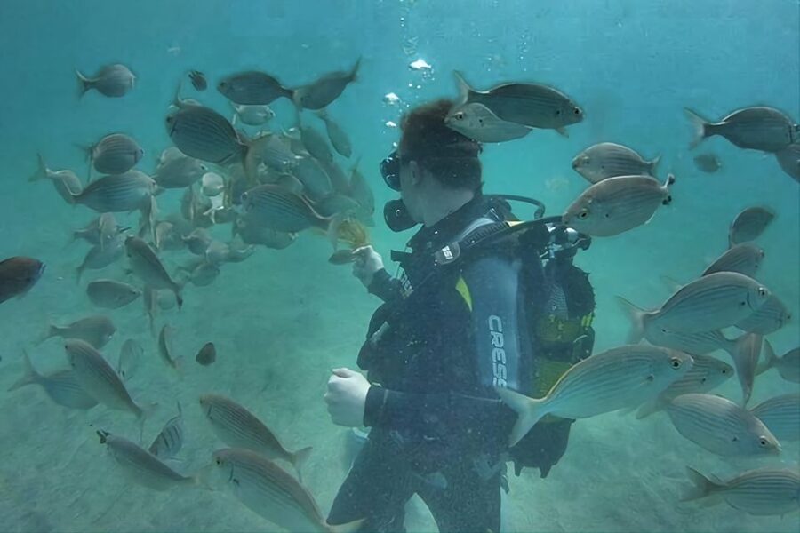 Antalya/Kemer: Scuba Diving Experience with Lunch & Pick up - What to do while you wait