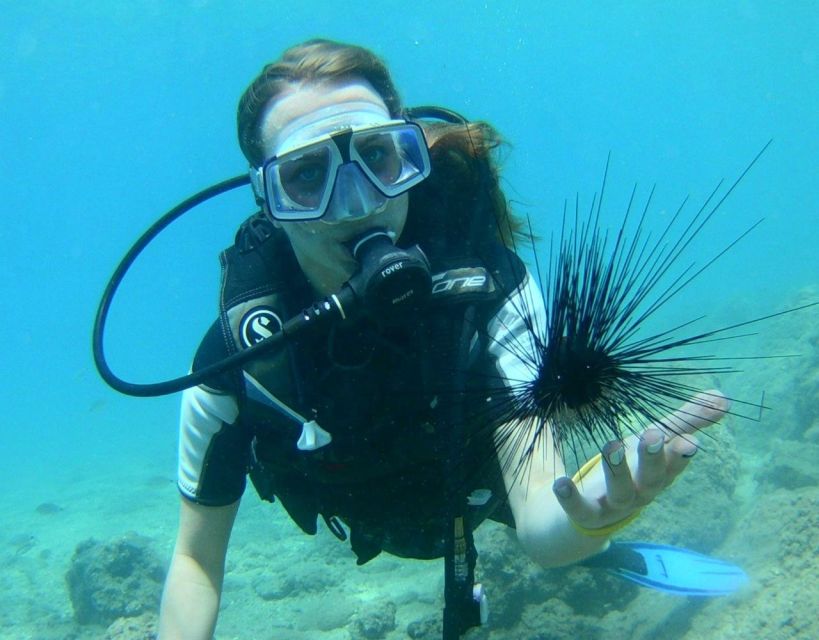 Antalya/Kemer: Scuba Diving with Pickup, Lunch, and 2 Dives - Winter conditions and changing plans