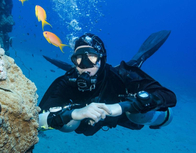 Antalya/Kemer: Scuba Diving with Pickup, Lunch, and 2 Dives - Who will enjoy this trip most