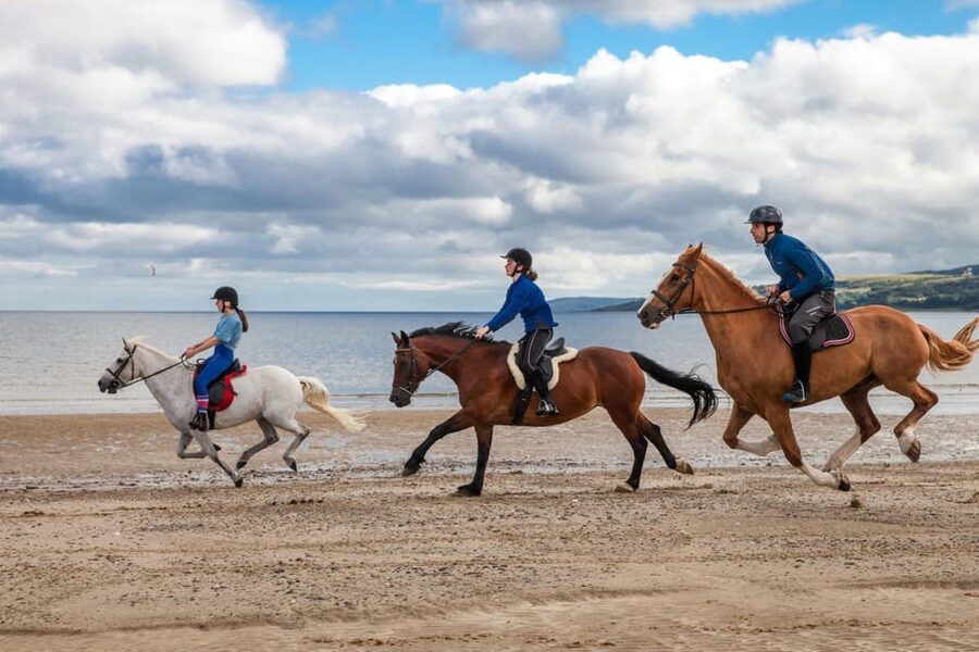 Antalya: Lara Beach & Forrest Horse Riding Safari - What the guides add to the experience