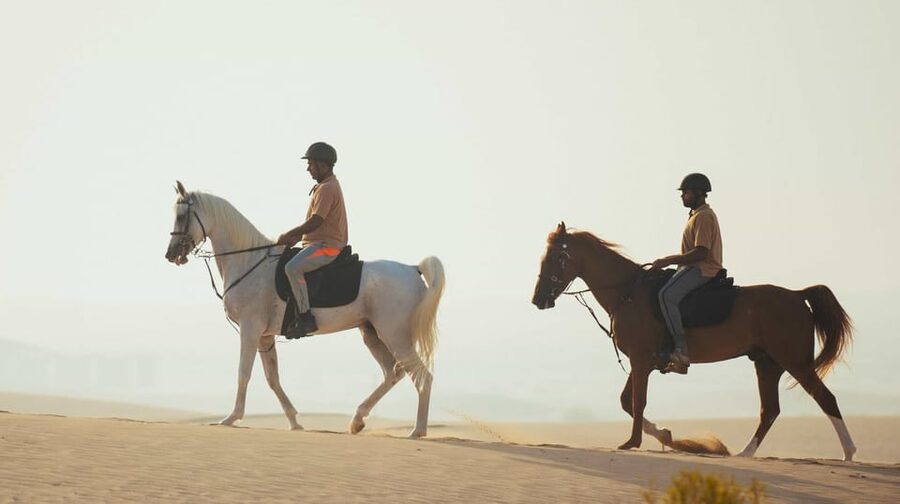 Antalya: Lara Beach & Forrest Horse Riding Safari - Is $58 good value for 80 to 90 minutes?