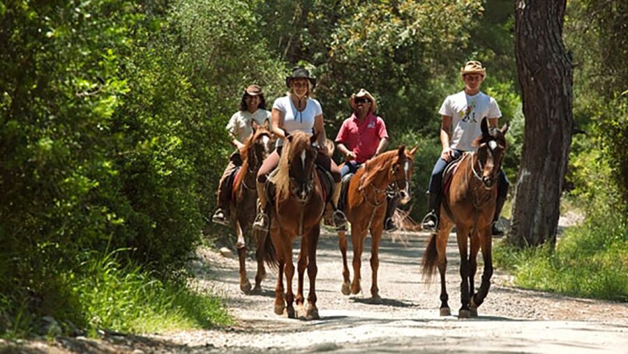Antalya: Lara Beach & Forrest Horse Riding Safari - Best times and best types of visitors