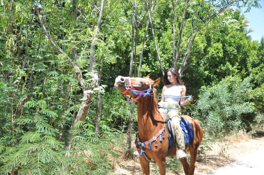 Antalya: Lara Beach & Forrest Horse Riding Safari - Practical details before you book