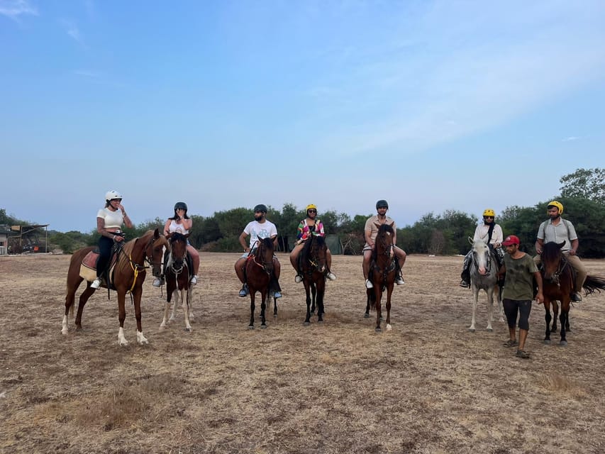 Antalya: Lara Beach & Forrest Horse Riding Safari - Should you book the Lara horse riding safari?