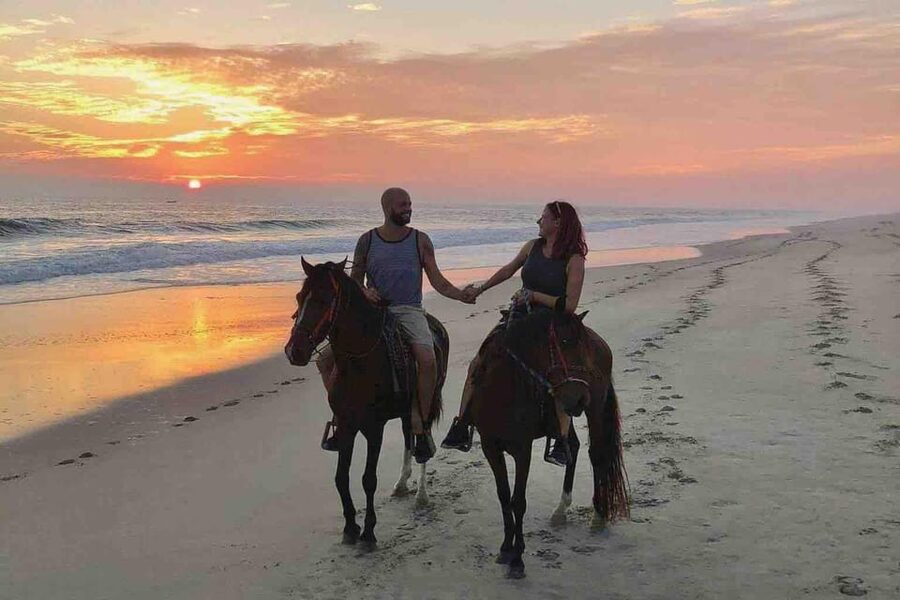 Antalya: Lara Beach & Forrest Horse Riding Safari - One hour through trees, farms, and open country