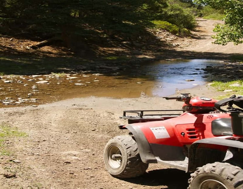 Antalya: Quad-Bike Excursion in Side Forest & Hotel Pick-Up - Timing, hotel zones, and the small details that matter