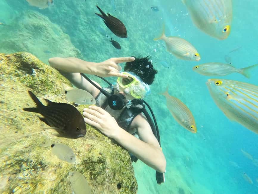 Antalya Scuba Diving Adventure with Expert Diver Option - Aquarium Bay offers an easy first look underwater