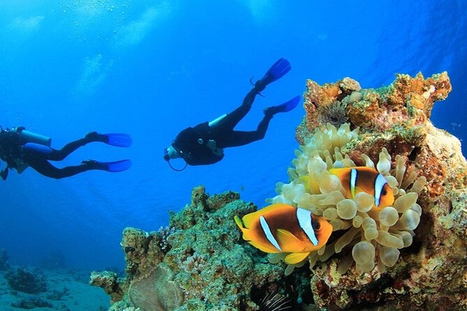 Antalya Scuba Diving With Transfer From Belek,Lara,Kemer Hotels - From your hotel to Kemer harbor