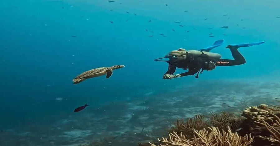 Antalya, Side and Alanya: Scuba Diving with Lunch & 2 Dives - Reaching Liman and Getting Ready on the Boat