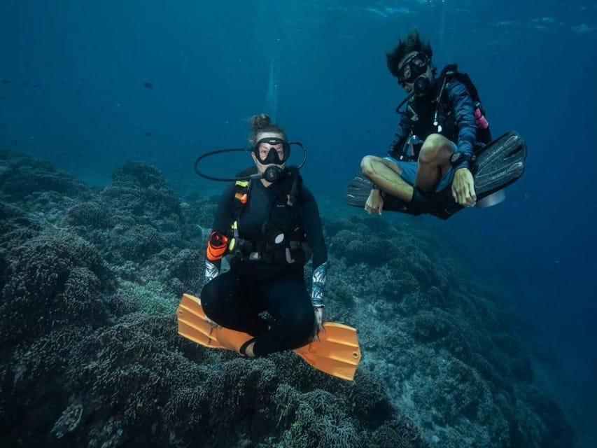 Antalya, Side and Alanya: Scuba Diving with Lunch & 2 Dives - Lunch, Swimming, and Deck Time Between Sessions
