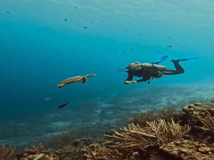 Antalya, Side and Alanya: Scuba Diving with Lunch & 2 Dives - Hotel Pickup From Side, Alanya, Belek, and Nearby Resorts