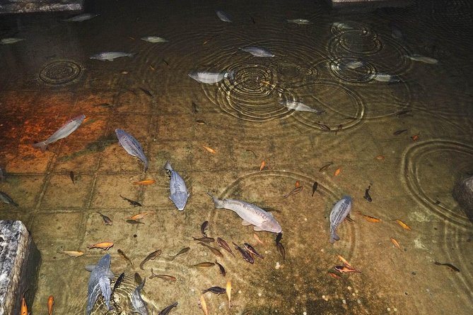 Basilica Cistern Skip the Line Ticket - How useful is the audio guide?