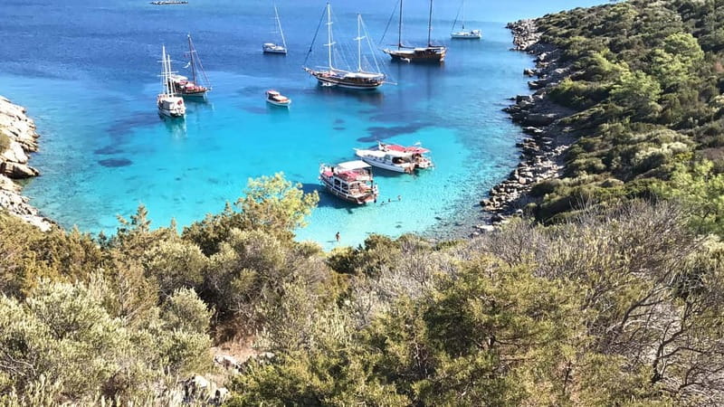Bodrum: Boat Tour for Mein Schiff Cruise Passengers - The first bays: settling into the Aegean rhythm