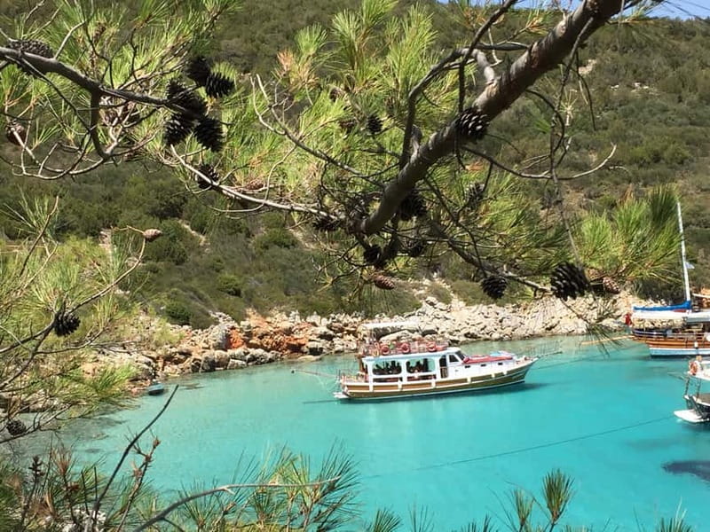 Bodrum: Boat Tour for Mein Schiff Cruise Passengers - Who should book this experience