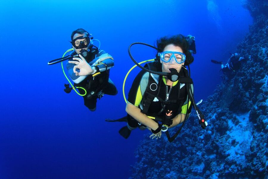 Bodrum: Full-Day Scuba Diving Tour - Key points at a glance