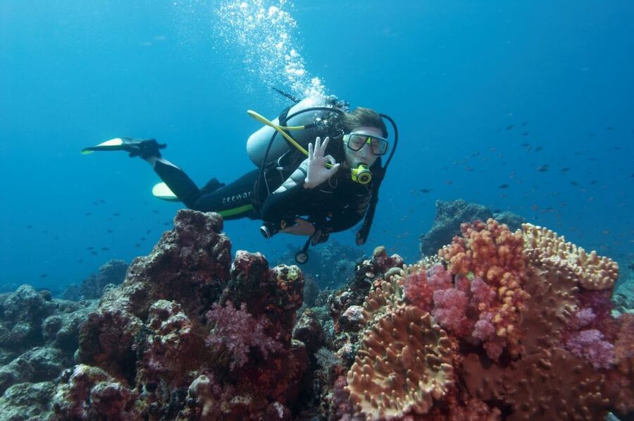 Bodrum: Full-Day Scuba Diving Tour - Who will enjoy this most