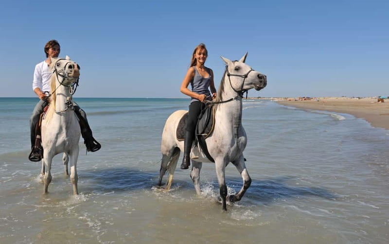 Bodrum: Horseback Riding Experience - Key points to know before booking