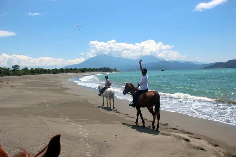 Bodrum: Horseback Riding Experience - From Bodrum hotel pickup to the horse club