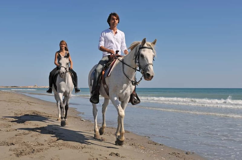 Bodrum: Horseback Riding Experience - Riding through pine forests and orange groves