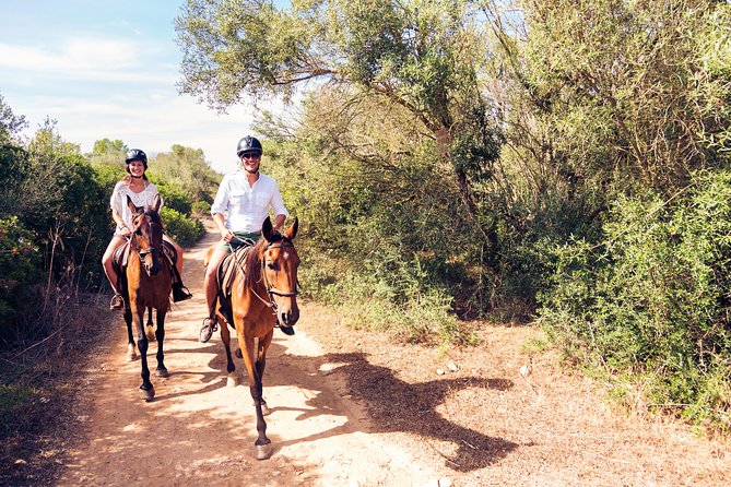 Bodrum Horseback Riding Experience with Hotel Transfer - What the $78.44 Price Buys You