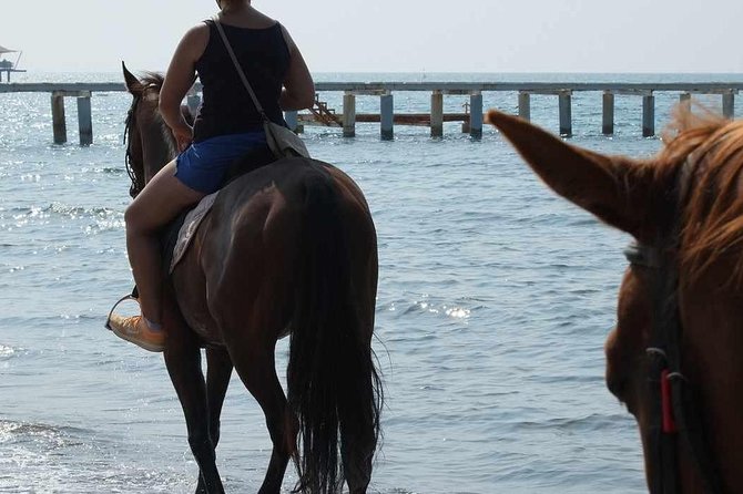 Bodrum Horseback Riding Experience with Hotel Transfer - Practical Tips Before You Book