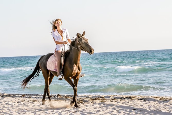 Bodrum Horseback Riding Experience with Hotel Transfer - Meeting the Horses and Getting Settled