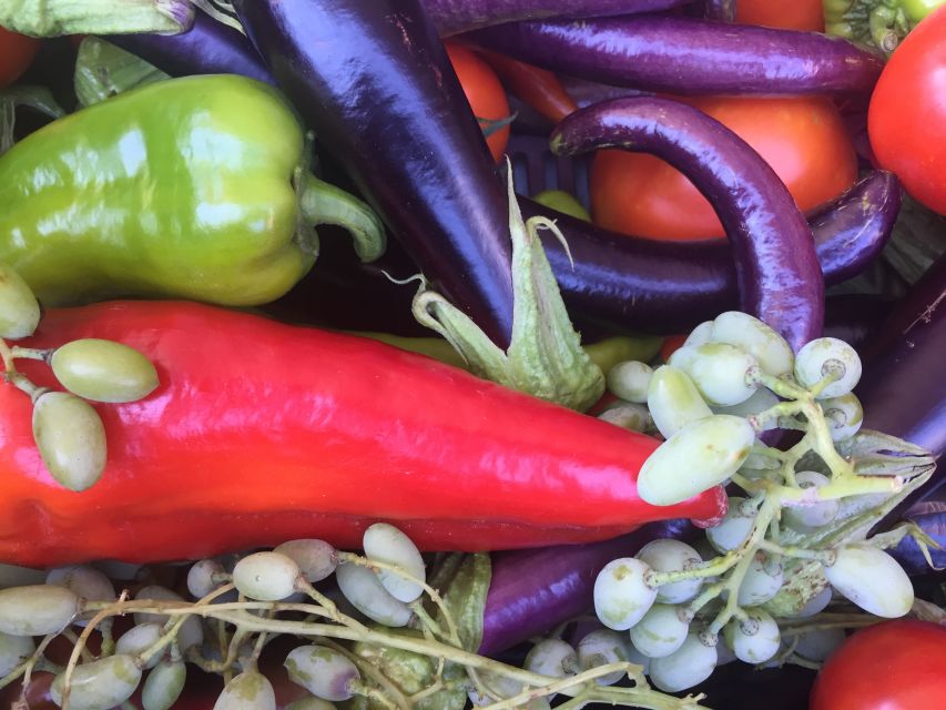 Bodrum: Market Visit and Cooking Class - Shopping At Bodrum’s Farmers’ Market