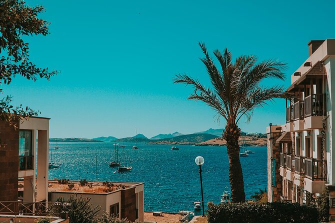 Bodrum Private Walking Tour with a Local - What this Bodrum walk is really offering