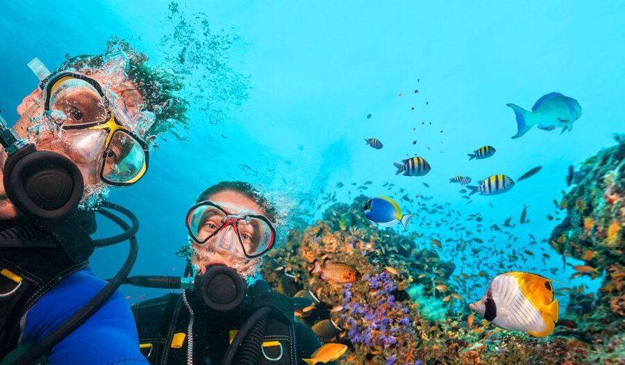 Bodrum: Scuba Diving Briefing & Diving Experience - Key points to know before booking