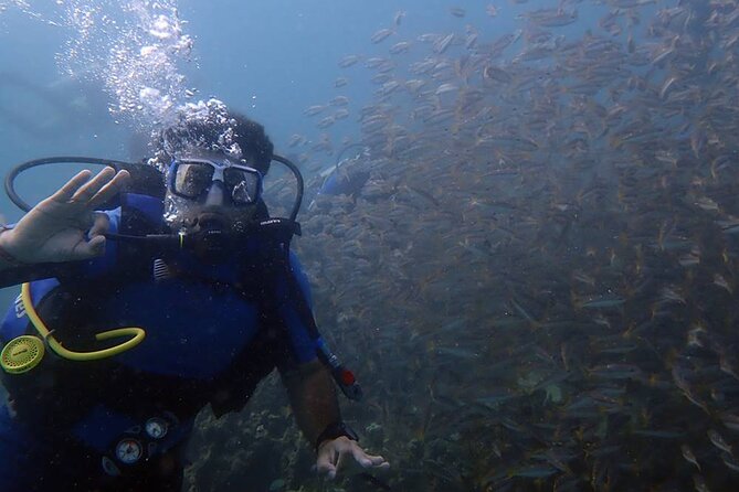 Bodrum Scuba Diving Tour With Free Hotel Transfer By Locals - Key points before you book