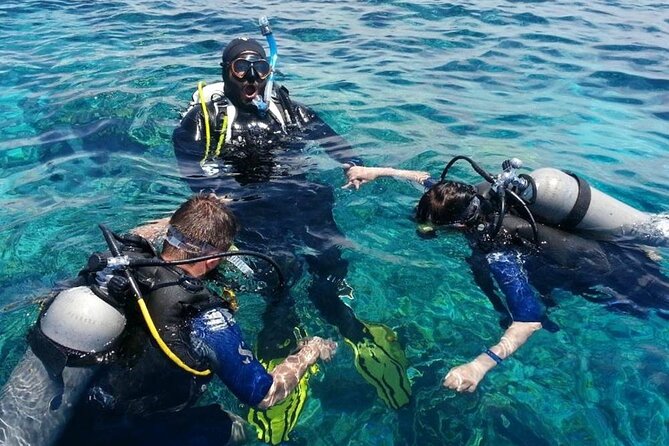 Bodrum Scuba Diving Tour With Free Hotel Transfer By Locals - Why Bodrum works for an underwater morning