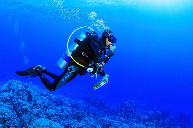 Bodrum Scuba Diving Tour With Free Hotel Transfer By Locals - Boarding the boat and getting ready