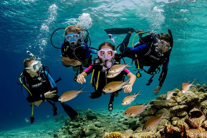 Bodrum Scuba Diving Tour With Free Hotel Transfer By Locals - The training session for beginners