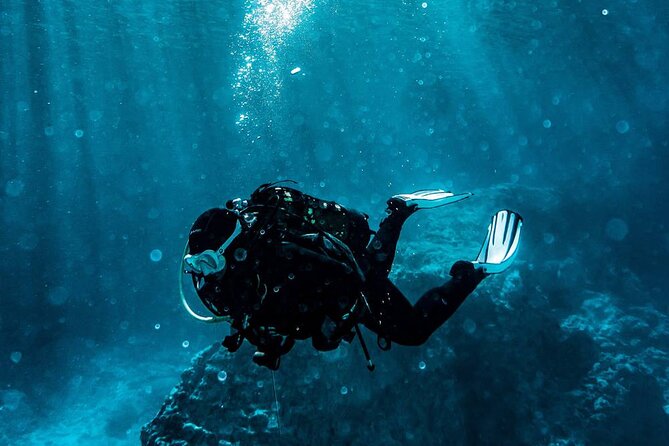 Bodrum Scuba Diving Tour With Free Hotel Transfer By Locals - Who will get the most from this tour