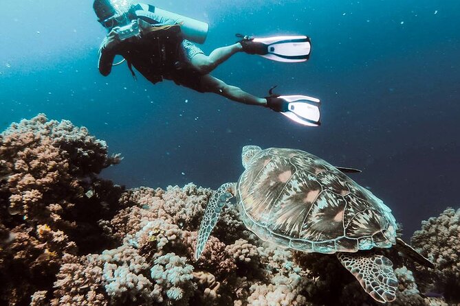 Bodrum Scuba Diving Tour With Free Hotel Transfer By Locals - The 8:00 am start and hotel transfer