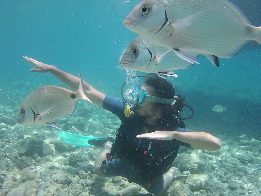 Bodrum: Scuba Diving Trip with Lunch - Key points before you book