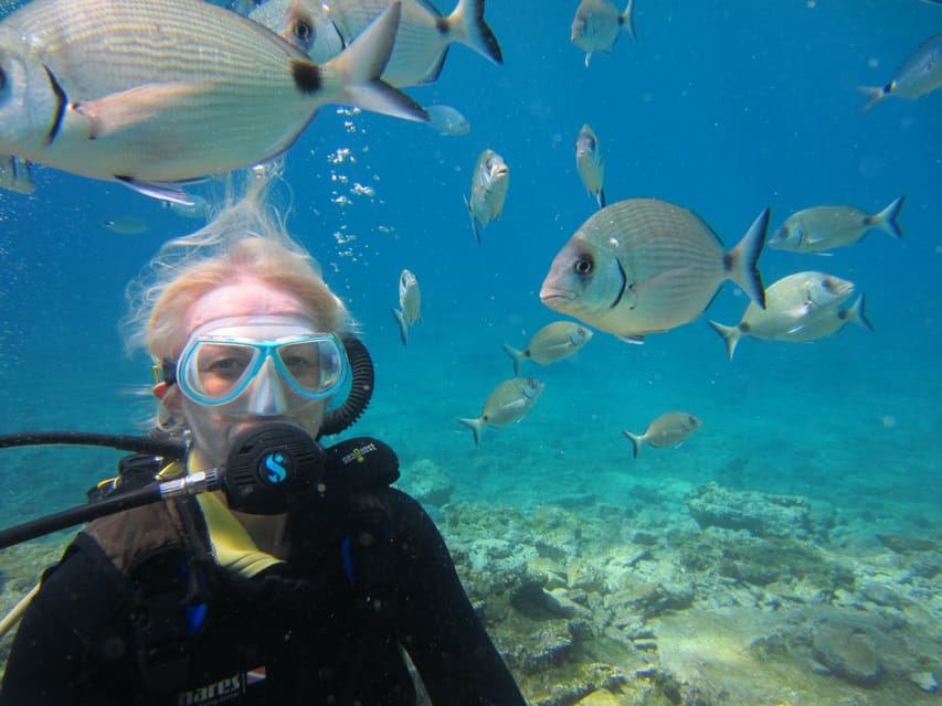 Bodrum: Scuba Diving Trip with Lunch - From Halikarnas Harbour to Black Island