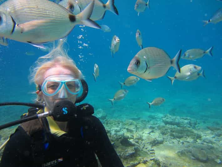 Bodrum: Scuba Diving Trip with Lunch - What you may see around Black Island