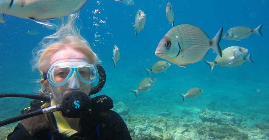 Bodrum: Scuba Diving Trip with Lunch - Equipment, photographs, and the cost of extras