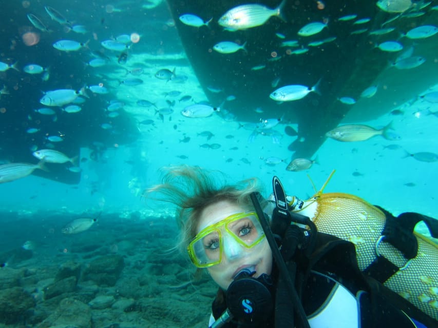 Bodrum: Scuba Diving Trip with Lunch - Is the $81 price fair?