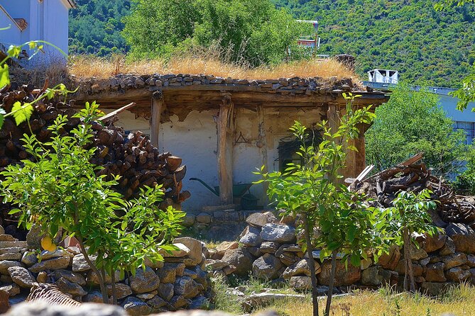 Bodrum Village Tour with Group - Who will enjoy this tour most?