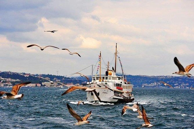 Bosphorus Cruise with Dolmabahce Palace and Istiklal Street Tour - Who should book this Istanbul tour?