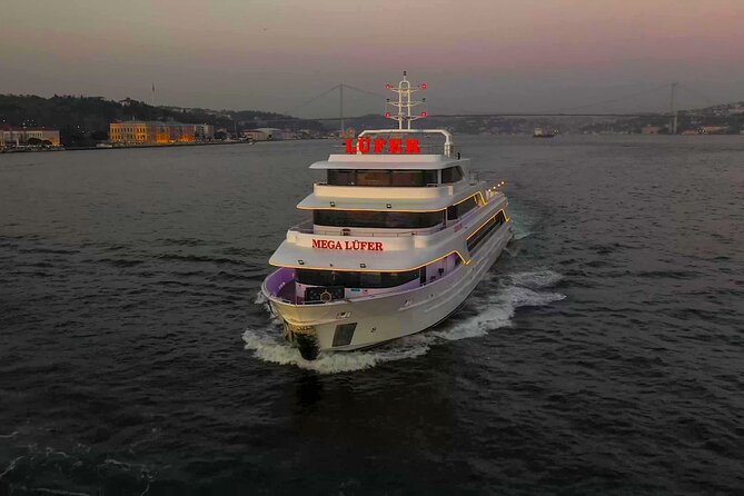 Bosphorus Dinner Cruise with Show and Private Table - What you see along the Bosphorus after dark