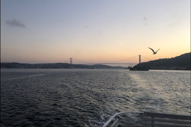 Bosphorus Explorer: 3-Hour Cruise with Asian Side Visit - The one-hour stop in Beylerbeyi