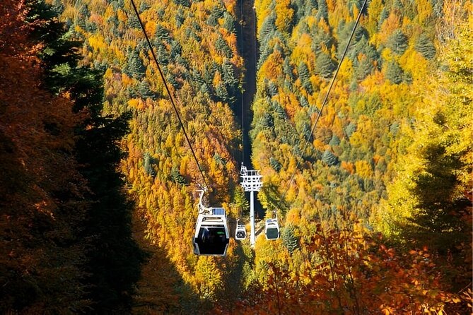 Bursa And Uludağ Tour From İstanbul with Cable Car & Lunch - Bursa’s Green Mosque and Green Tomb