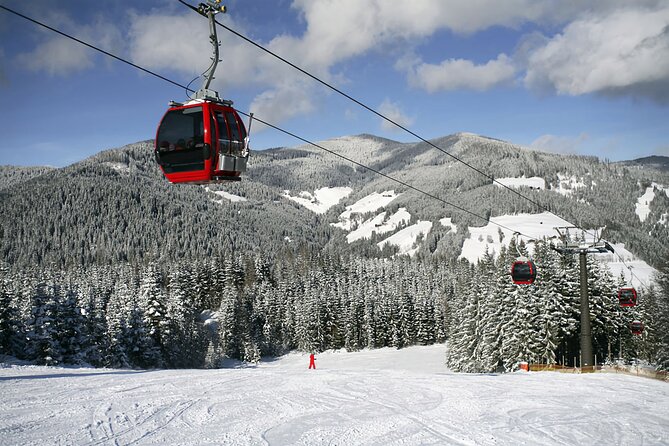 Bursa City and Uludag Mountain Day Trip with Pick up & Cable Car - Uludag National Park and the cable car choice