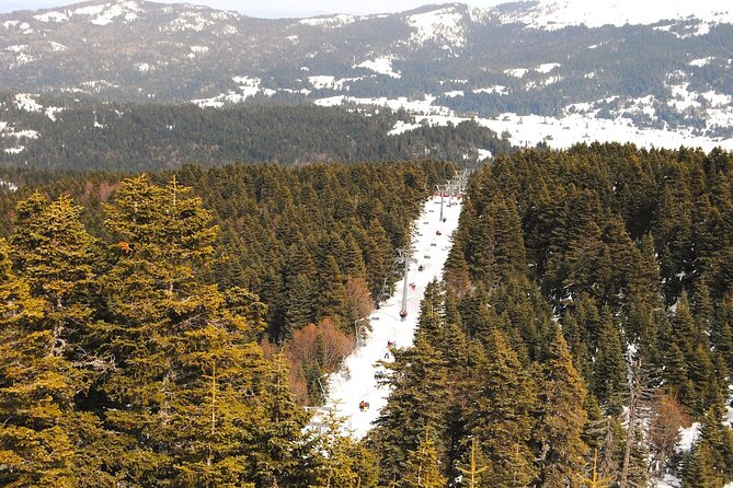Bursa City and Uludag Mountain Day Trip with Pick up & Cable Car - Guide quality, timing, and the day’s weak spots