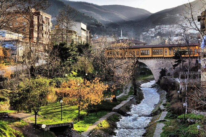 Bursa Full-Day Tour From Istanbul With Cable Car - Uludag National Park and the cable-car ride