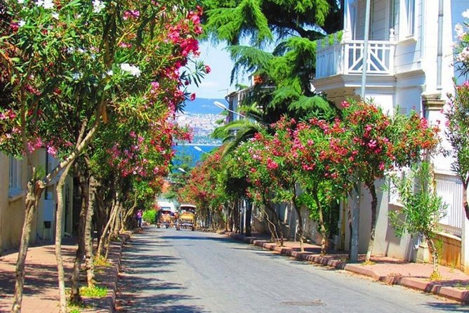 Buyukada Princes’ Island Guided Day Tour with lunch from Istanbul - Sailing past Topkapi Palace and Kız Kulesi